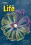 Life 3 with the Spark platform by Helen Stephenson - Carousel 1