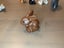 Lego Duplo Animal Figures Bulk Lot Carousel 5