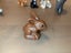 Lego Duplo Animal Figures Bulk Lot Carousel 4