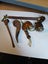 SMOKING PIPES X 4 STUNNING Carousel 1