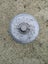 Irrigation Hydrant - New Carousel 2
