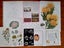 Bulk Beautiful Botanical Book Pages & Craft Paper Pack. Great for Junk Journals Carousel 7