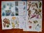 Bulk Beautiful Botanical Book Pages & Craft Paper Pack. Great for Junk Journals Carousel 8