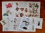 Bulk Beautiful Botanical Book Pages & Craft Paper Pack. Great for Junk Journals Carousel 10