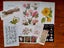 Bulk Beautiful Botanical Book Pages & Craft Paper Pack. Great for Junk Journals Carousel 12