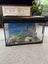 Fish Tank Carousel 3