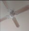Ceiling Fans for Sale Carousel 1