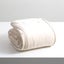 Renee Taylor Plush 380 GSM Ultra Soft Velvet Blanket Carousel 3