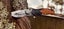 $1R NEW 2025 NORTH AMERICAN TARUCA Carbon Hunting knife by Sika Knives RRP$199 Carousel 3
