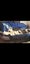 American Bulldog Puppies Carousel 2