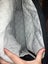 JOOLZ nappy bag/bag attachment Carousel 2