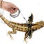 Gecko Chest Strap Walking Reptile Leash Lizard Traction Rope Lizard Harness Set Carousel 5