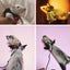 Gecko Chest Strap Walking Reptile Leash Lizard Traction Rope Lizard Harness Set Carousel 9