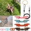 Gecko Chest Strap Walking Reptile Leash Lizard Traction Rope Lizard Harness Set Carousel 12