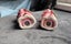 Vintage Pink Dogs, Salt And Pepper Carousel 4