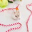 1PC Rat Pet Lead Pet Supplies Hamster Leash Mouse Collar Rope Hamster Harness Carousel 10