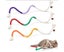 Loading Image 1 of 5