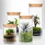 6PCs Airtight Glass Preserving Jars Lids Food Tea Coffee Bean Storage Containers Carousel 8