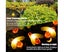 Outdoor Solar String Lights Garden Decor Lights Carousel 4