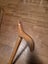 Walking stick Carousel 4