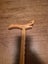 Walking stick Carousel 1