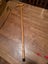 Walking stick Carousel 2
