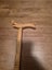 Walking stick Carousel 5