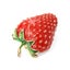 Red Strawberry Brooch Enamel Metal Pin Carousel 3