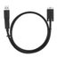 Targus USB-C to USB-A Cable 1.8M Tether Cable Carousel 4