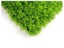 Artificial Hedge Wall Fern 3m² Carousel 2