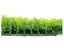 Artificial Hedge Wall Fern 3m² Carousel 3