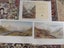 Early New Zealand Art prints. John Gully, 1819-1888. Carousel 2