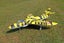 DYNAM HAWKER HUNTER RC Jet 6S Flaps Retracts - PNP Carousel 3