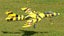 DYNAM HAWKER HUNTER RC Jet 6S Flaps Retracts - PNP Carousel 4