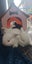 Mini lop rabbits Carousel 3