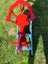 Rocking Horse from Kirkcaldies - Wellington Carousel 3