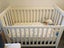 Cot Carousel 2