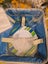 Picnic basket with wine cooler Carousel 4