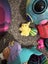 Fidget toys bulk listing ! Mochis popits puzzle ball squishy toys and more! Carousel 6