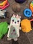 Fidget toys bulk listing ! squishy toys popits Smiggle water toy and more! Carousel 4