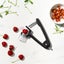 OXO Good Grips Cherry & Olive Pitter | Black Carousel 8