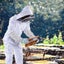 Beekeeping Suit Bee Keeping Equipment 2XL Carousel 5