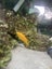 Large fish tank with stand plus more Carousel 4