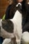 Meet River (More Proof) – Your Charming Adventure Buddy Carousel 6