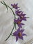 A stunning ORCHIDS hand embroidered vintage Linen Tablecloth Carousel 5