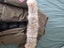 Canada Goose Chilliwack Bomber L Carousel 3
