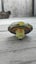 Burn Phoenix 135MS | TAKARA TOMY MetalFusion Metalfight Beyblade Carousel 5