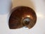 Rare Opalised Ammonite fossil 66.5 gm flashes of red Carousel 6