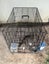 Bunnies/Rabbits, Hutch, Cages & Extras Carousel 9