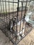 Bunnies/Rabbits, Hutch, Cages & Extras Carousel 1
